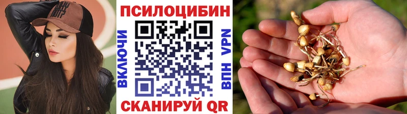 Галлюциногенные грибы Magic Shrooms  нарко площадка официальный сайт  Калининск  как найти закладки 